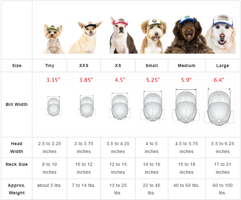Good Boy Doggy Hat (White Foam)